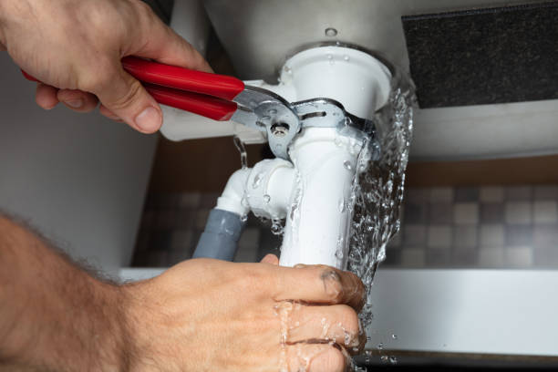 Best Water damage cleanup near me  in Seaville, NJ