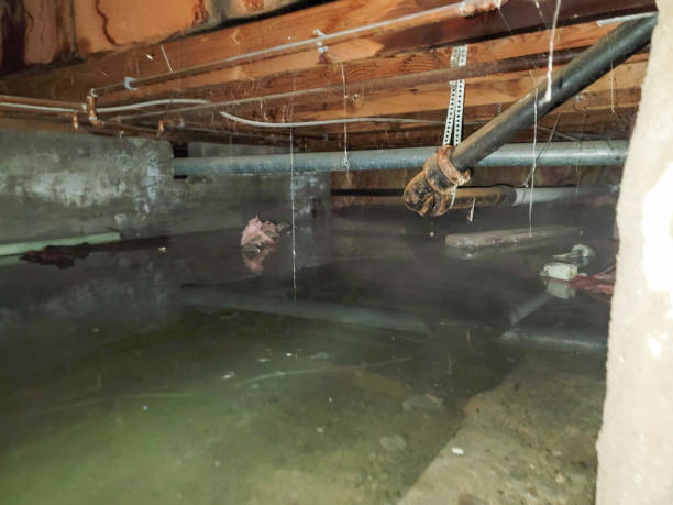 Best 24/7 water damage repair  in Seaville, NJ