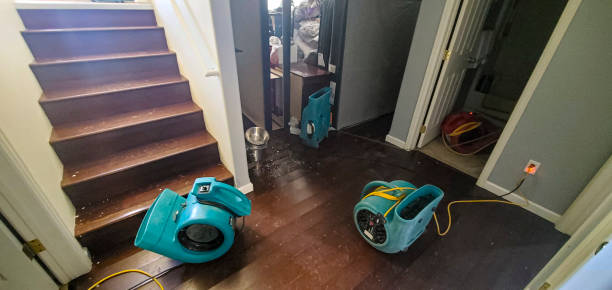 Best Ceiling water damage repair  in Seaville, NJ