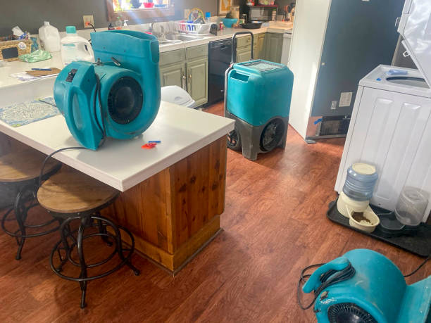 Best Sewage cleanup and water damage restoration  in Seaville, NJ