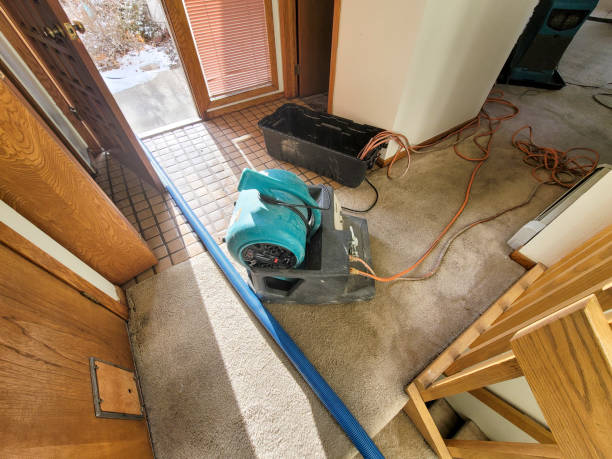 Best Flood restoration services  in Seaville, NJ