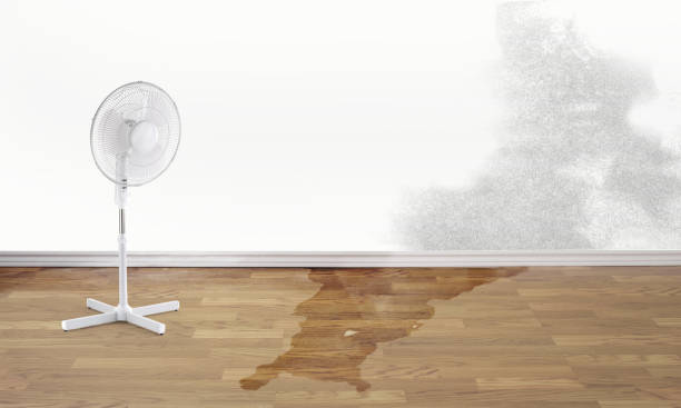 Best Residential water damage restoration  in Seaville, NJ