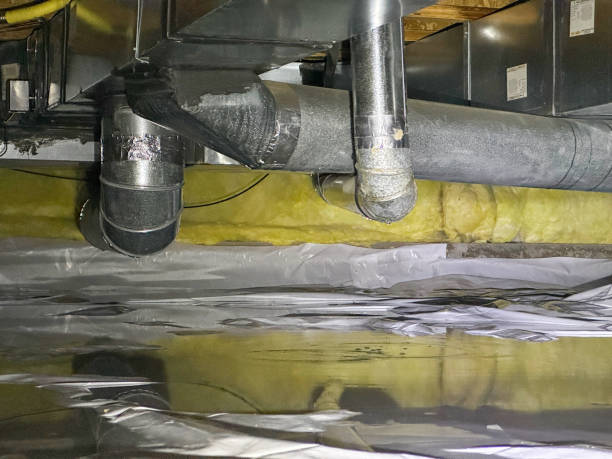 Best Basement water damage restoration  in Seaville, NJ