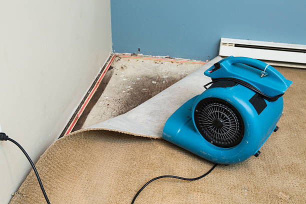 Best Commercial water damage restoration  in Seaville, NJ