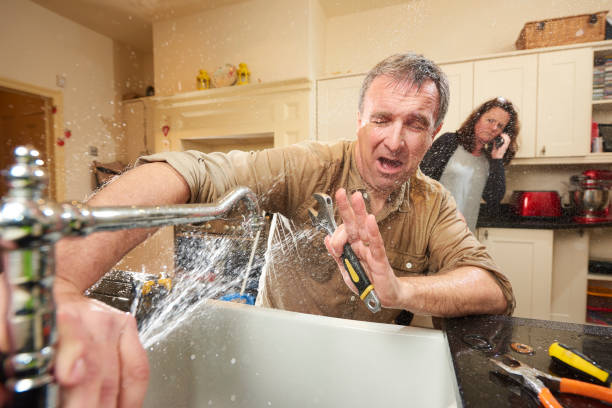 Best Professional water damage repair  in Seaville, NJ